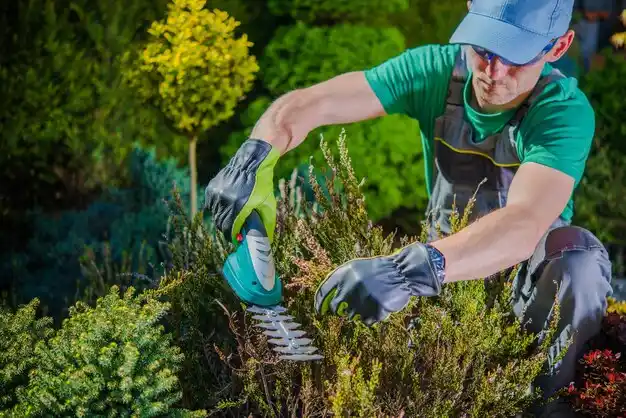 landscaping services Roslyn Estates